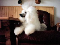/album/fotogaleria/a16v-jpg/