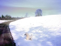 /album/fotogaleria/a45v-jpg/